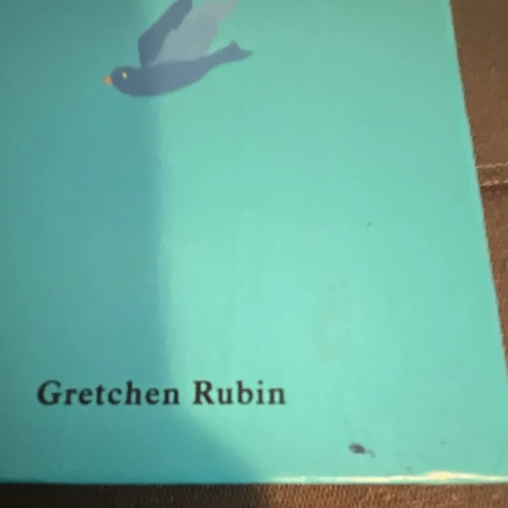 The Happiness Project One-Sentence Journal Rubin HC Illus